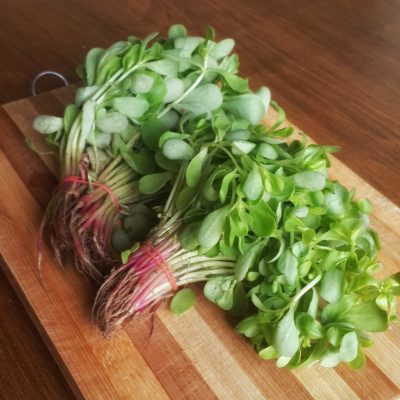 maş fasulyesi salatası 